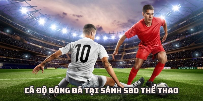 Bóng đá là bộ môn phổ biến nhất tại SBO thể thao